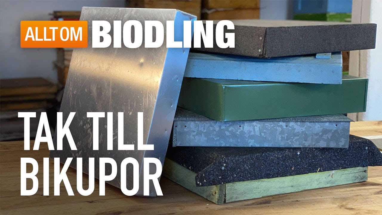 Tak till bikupa - Biodling