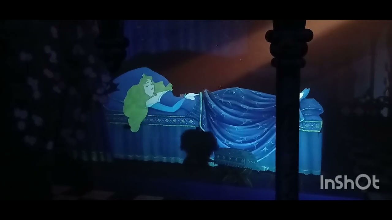 Sleeping Beauties Castle