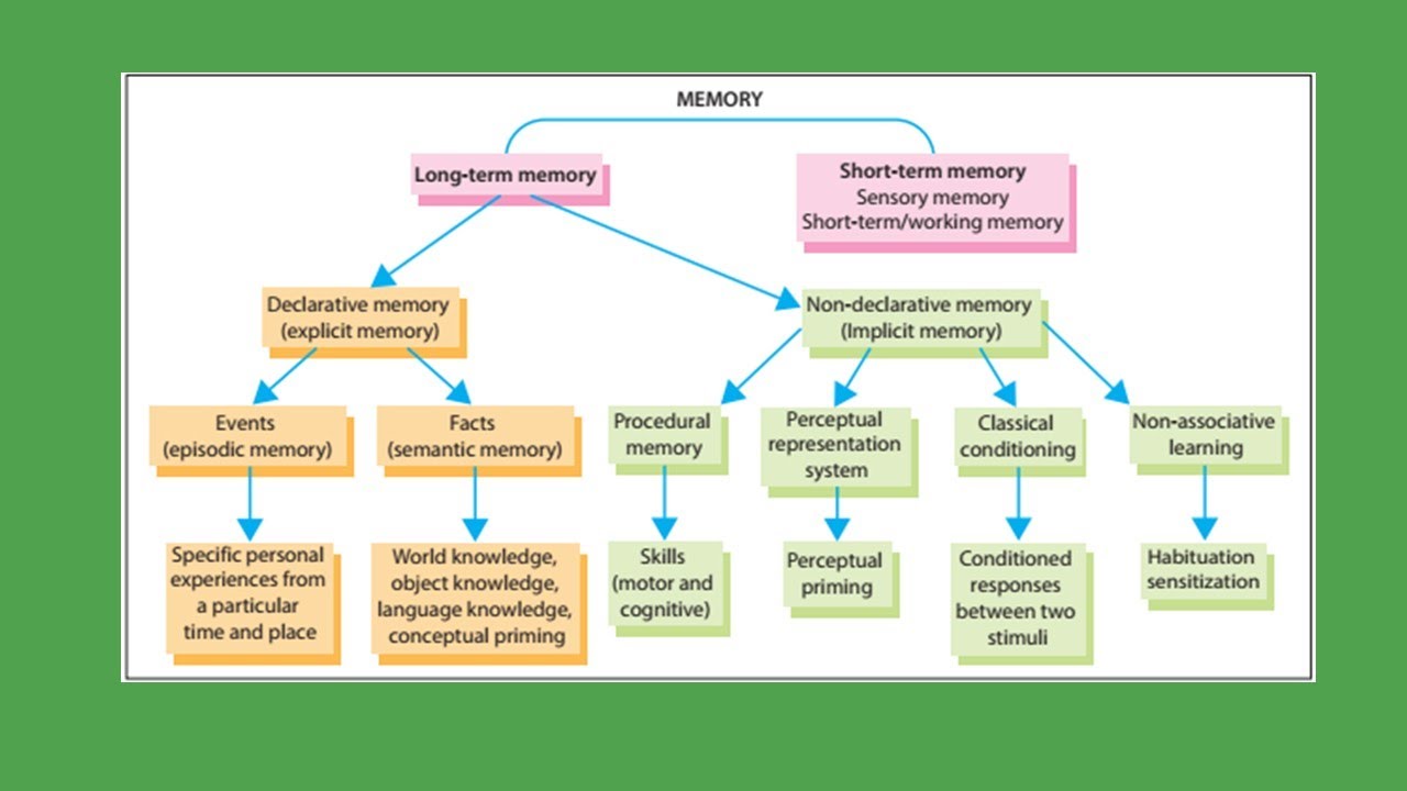 Memory Systems in the Brain