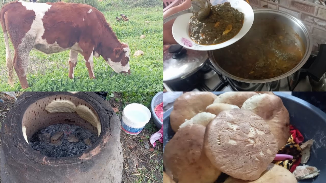 نهار طبيعي في الريف 🌱 طيبت قوريسه و خبز طابونة🌷