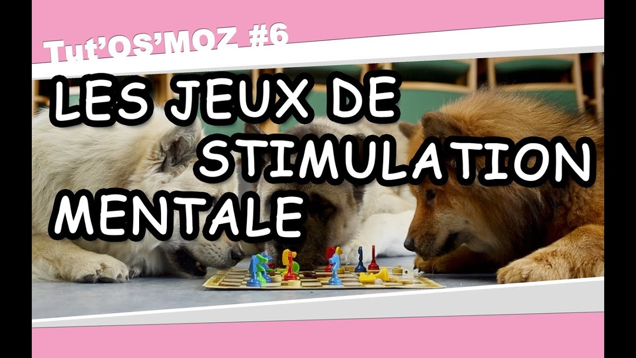 Les jeux de stimulation mentale