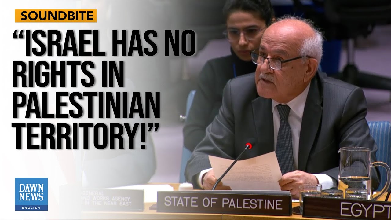 No Alternative To Palestinian Govt And UNRWA, Says Palestinian Envoy To UN | Dawn News English