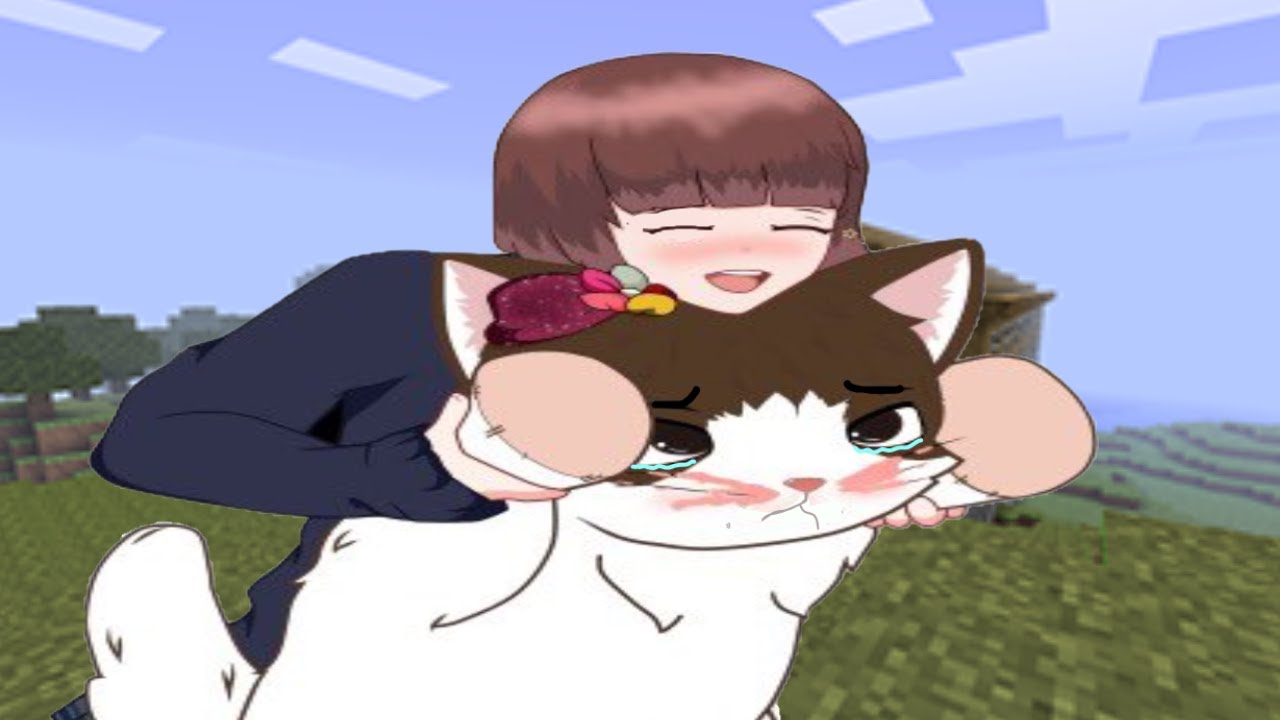 cap : Star me das un abrazo? | NuggetSMP