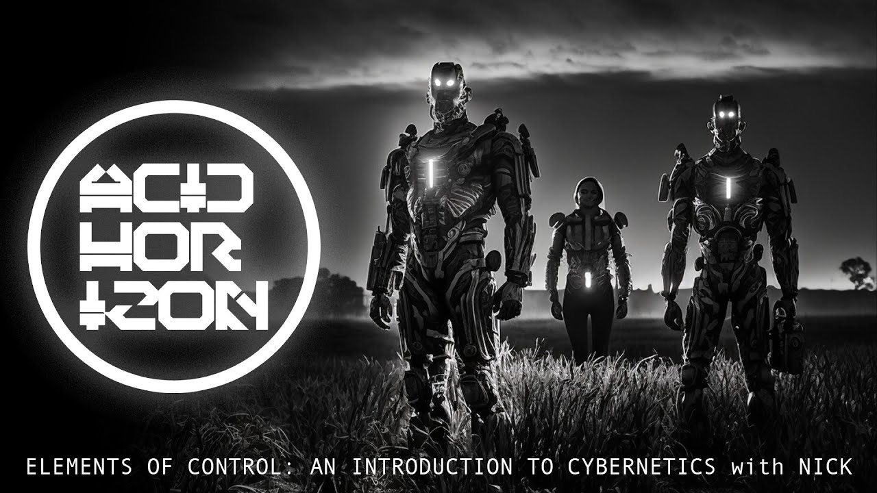 Elements of Control: An Introduction to Cybernetics with Nick