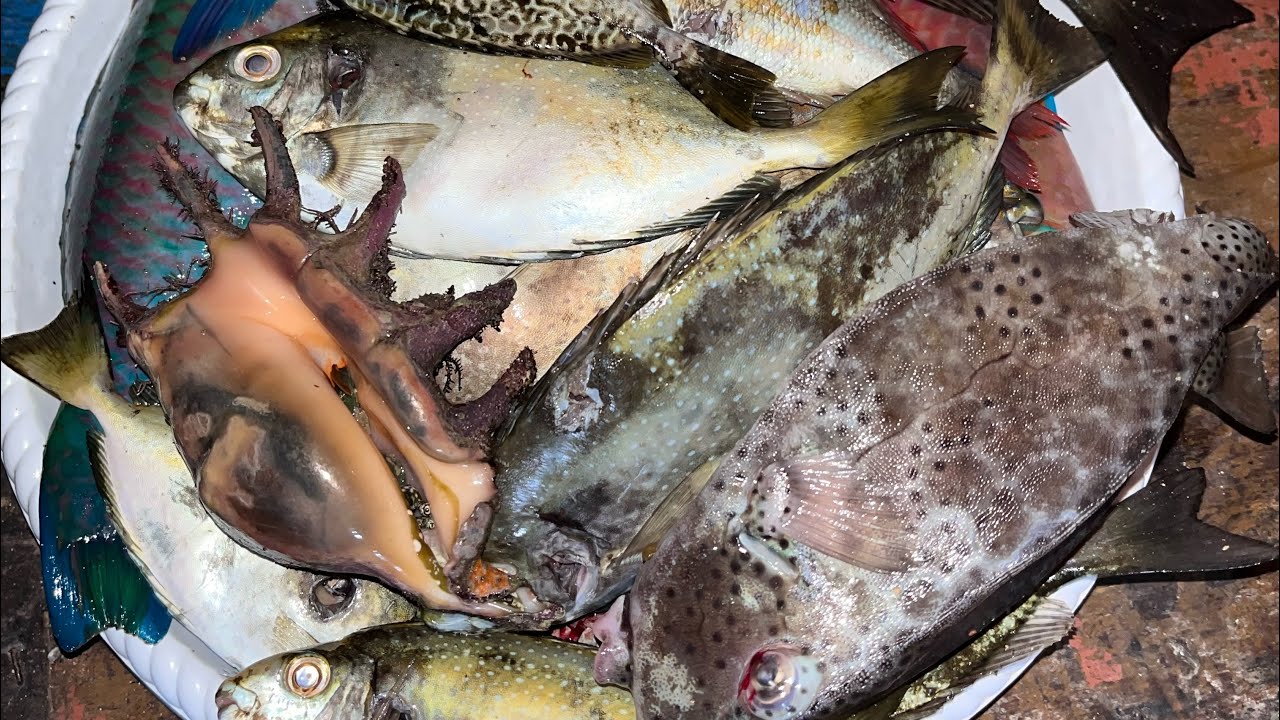TANTANGAN MENEMBAK IKAN SAAT CUACA BURUK🥶😰
