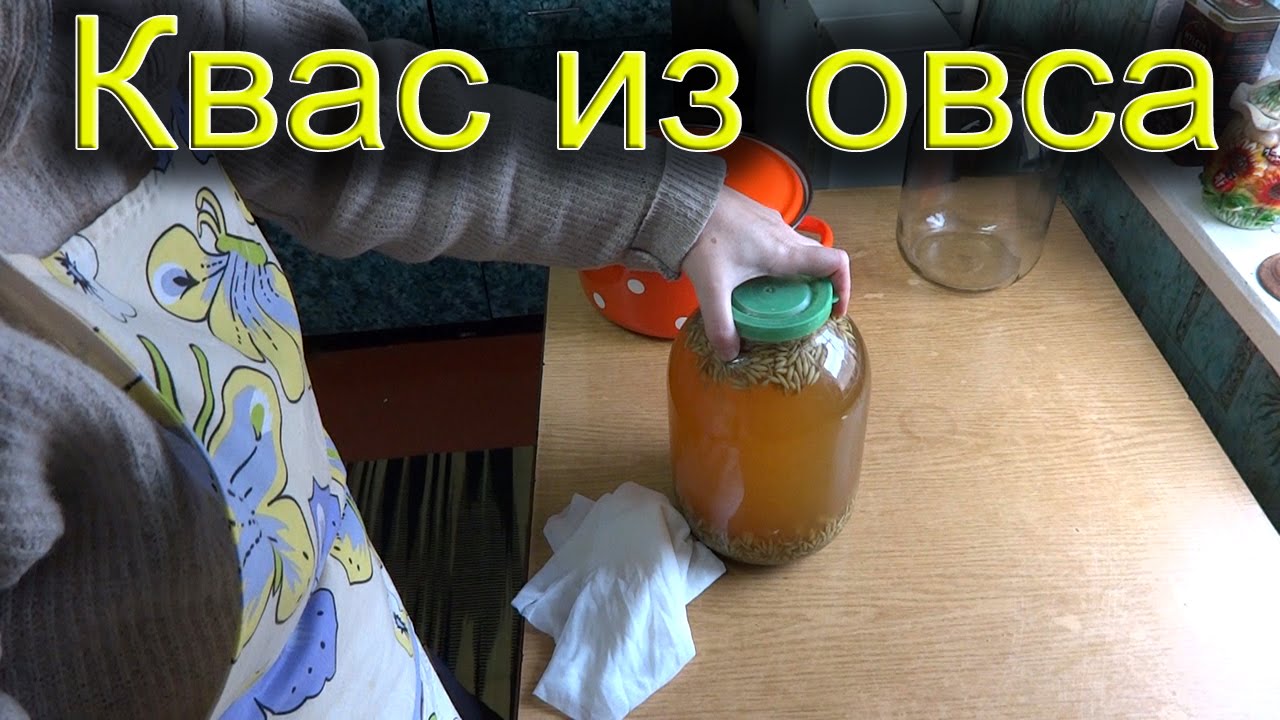 Домашний квас из овса