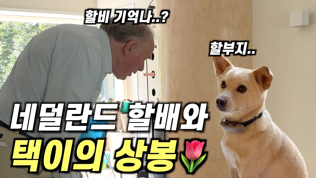 마침내 할아버지와 재회하는 택이