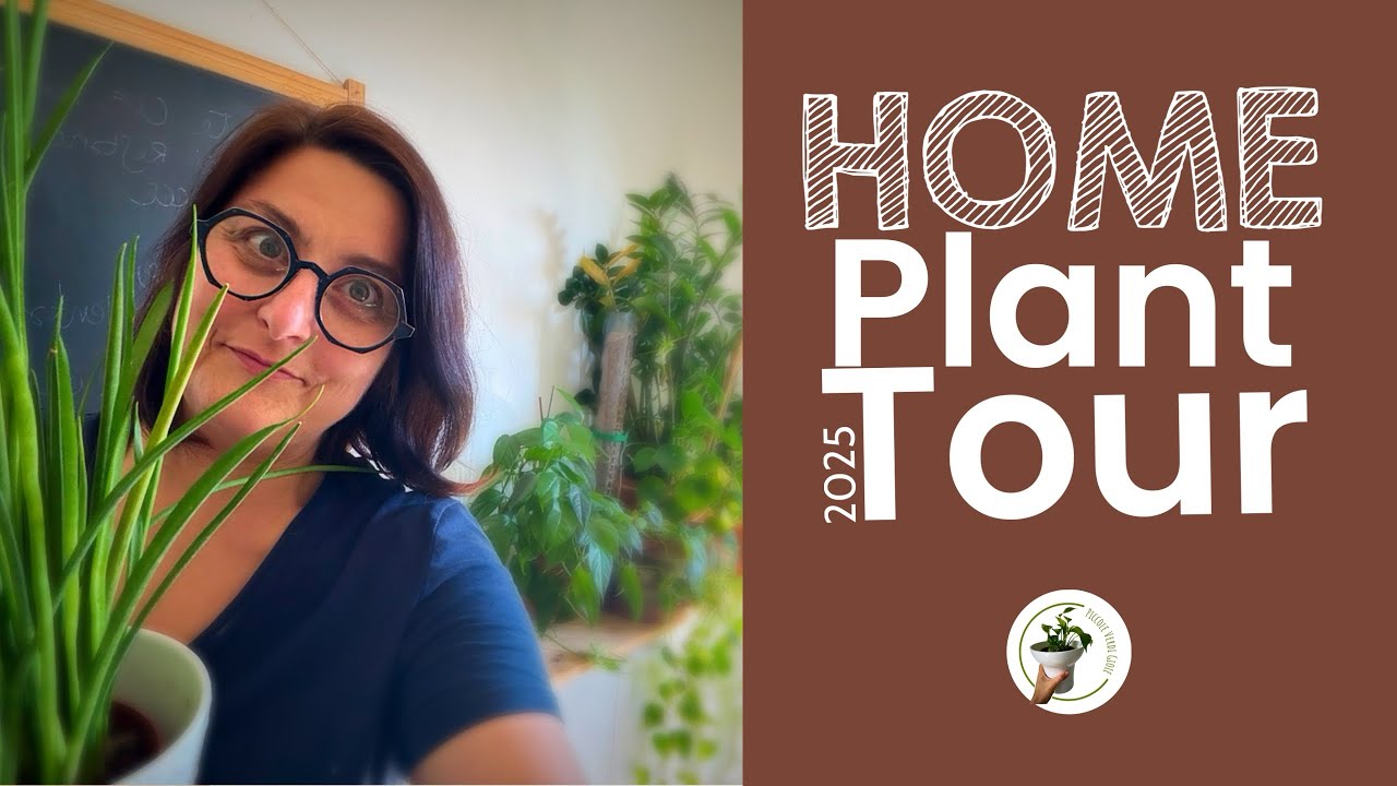 Home Plant tour 2025: vi porto a casa per un giretto tra le mie piante