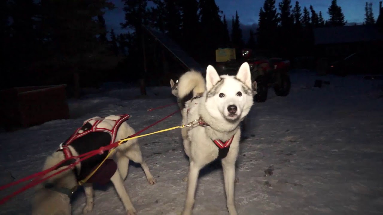 El Buscavidas CapV El Musher