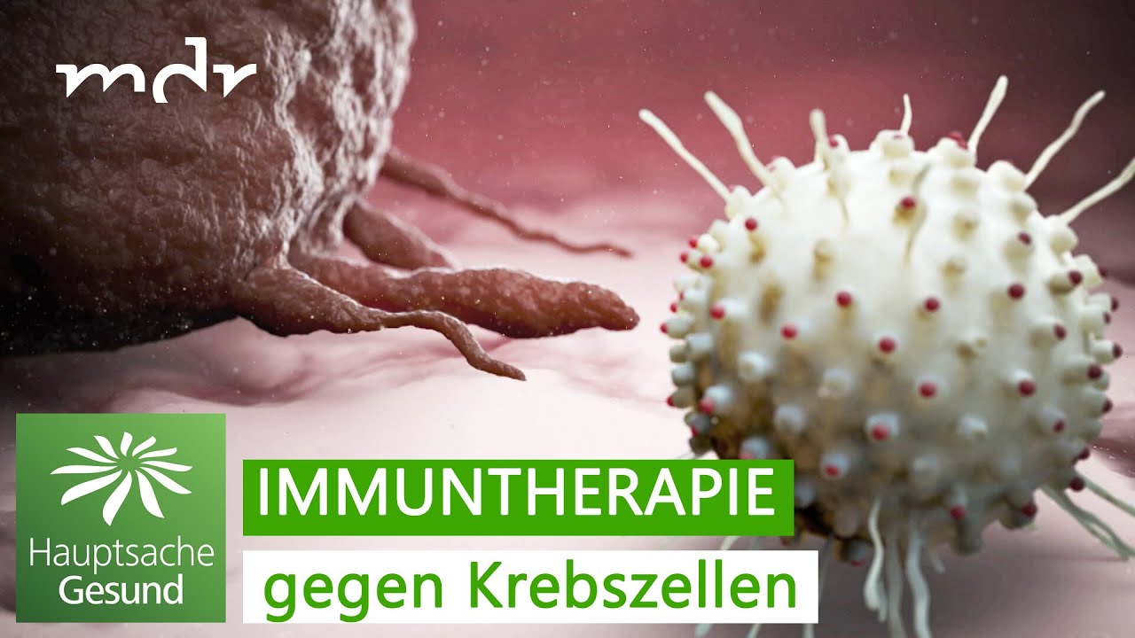 Schwarzer Hautkrebs – wie man ihn erkennt und behandelt | Hauptsache gesund | MDR