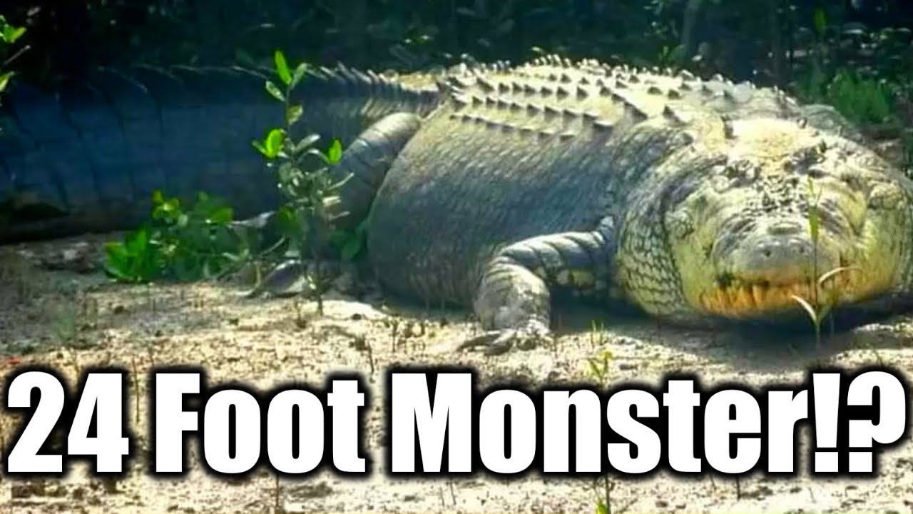 Bhitarkanika: Home of the Last 20 Foot Crocs