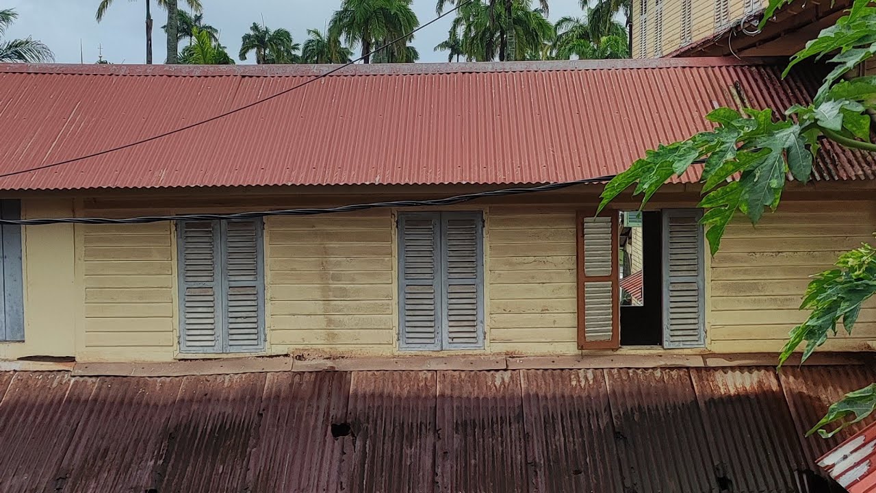 Tournepierres de la place des palmistes Cayenne 