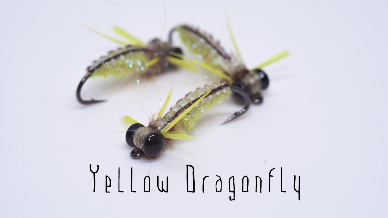Dragonfly nymph