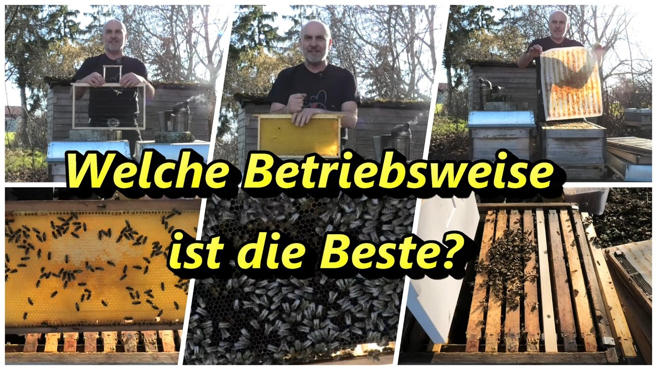 Welche Betriebsweise ist die Beste?