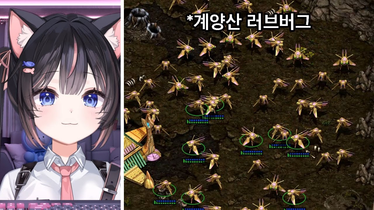 아구님에게 스타크래프트 프로토스 배우기 [Starcraft]