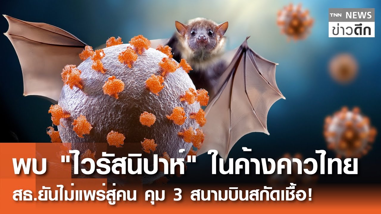 พบ 