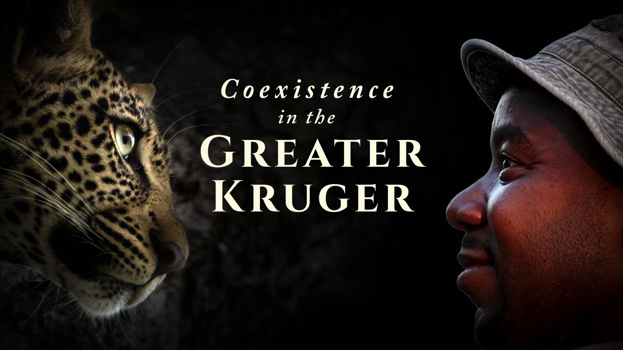 Coexistence in the Greater Kruger with Conserv Earth