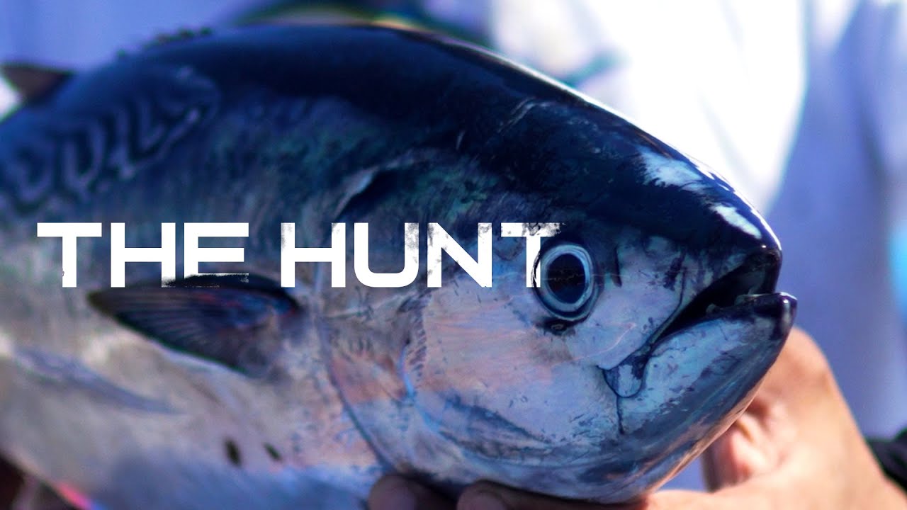 PERBURUAN BOILING CAKAL DAN TONGKOL DI SANUR! | Strike Cast Pertama Langsung Pecah!