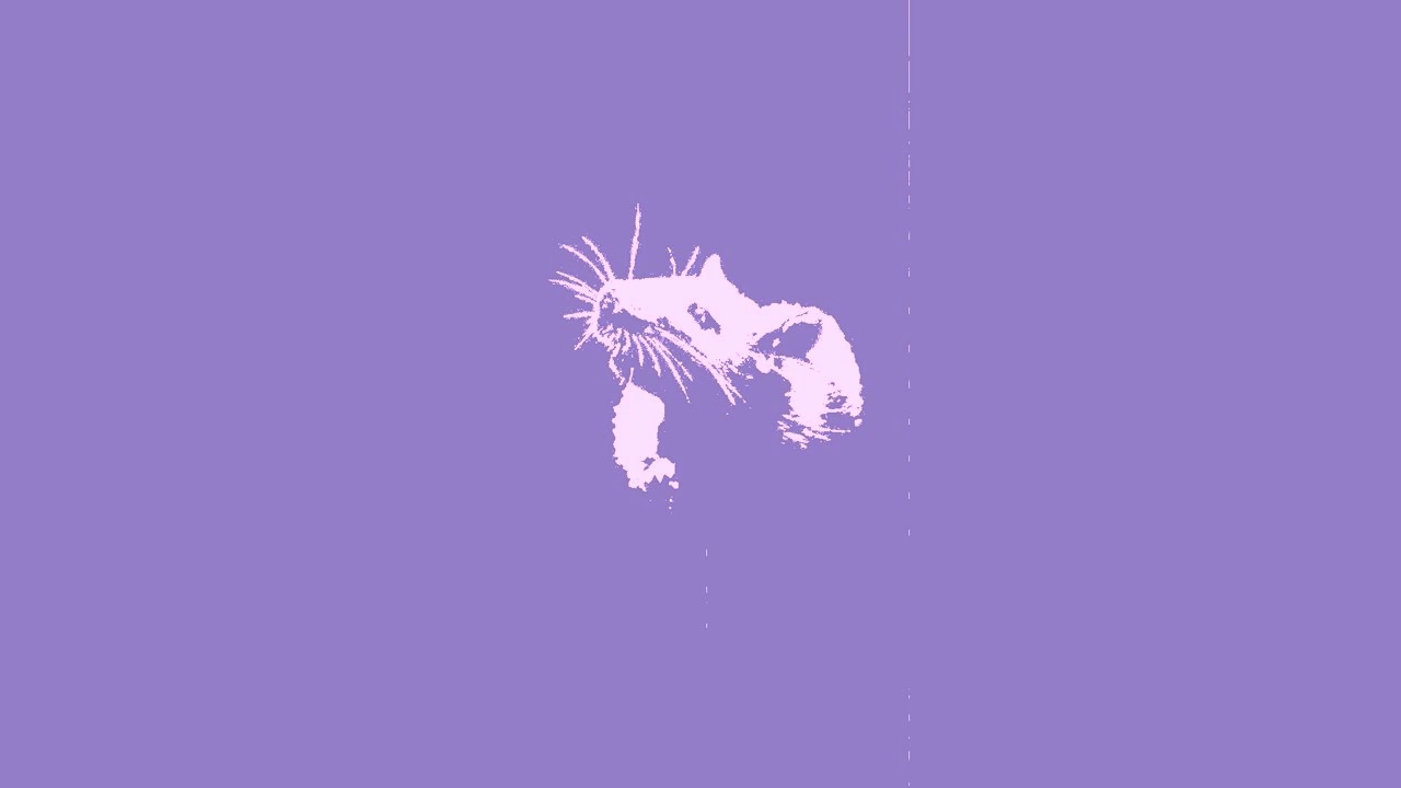 pqrs - Куди зникають хвилі