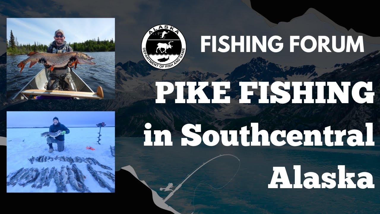 Online Fishing Forum: Pike Fishing in Southcentral Alaska