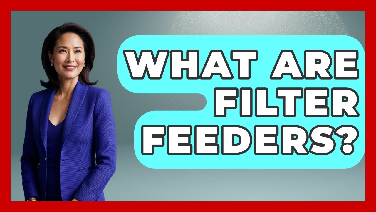 What Are Filter Feeders? - The Marine Life Explorer
