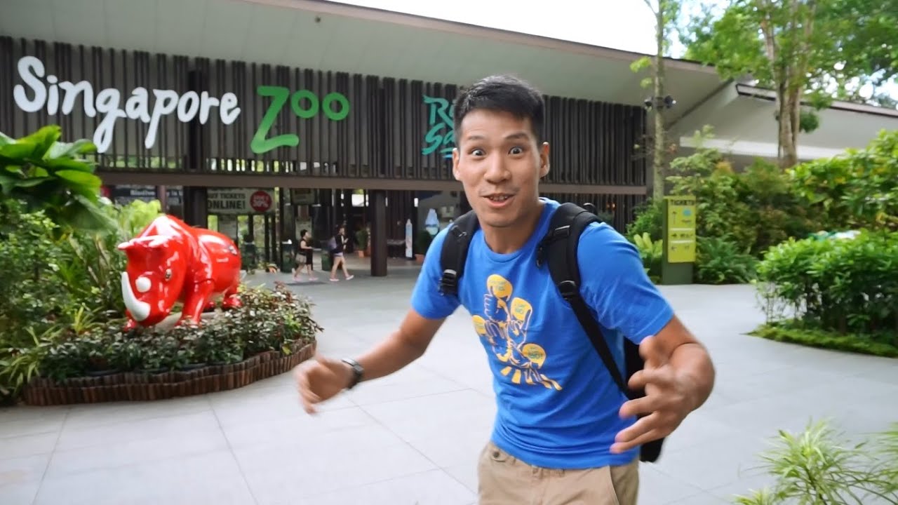 走走GOGO#10 - 去新加坡动物园 (GO SINGAPORE ZOO)