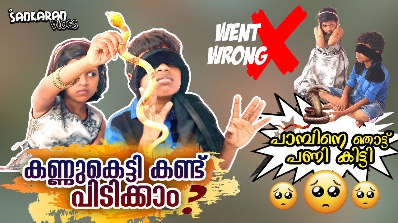 കണ്ണുകെട്ടി പാമ്പിനെ തൊട്ടപ്പോൾ | Sankaran Vlogs