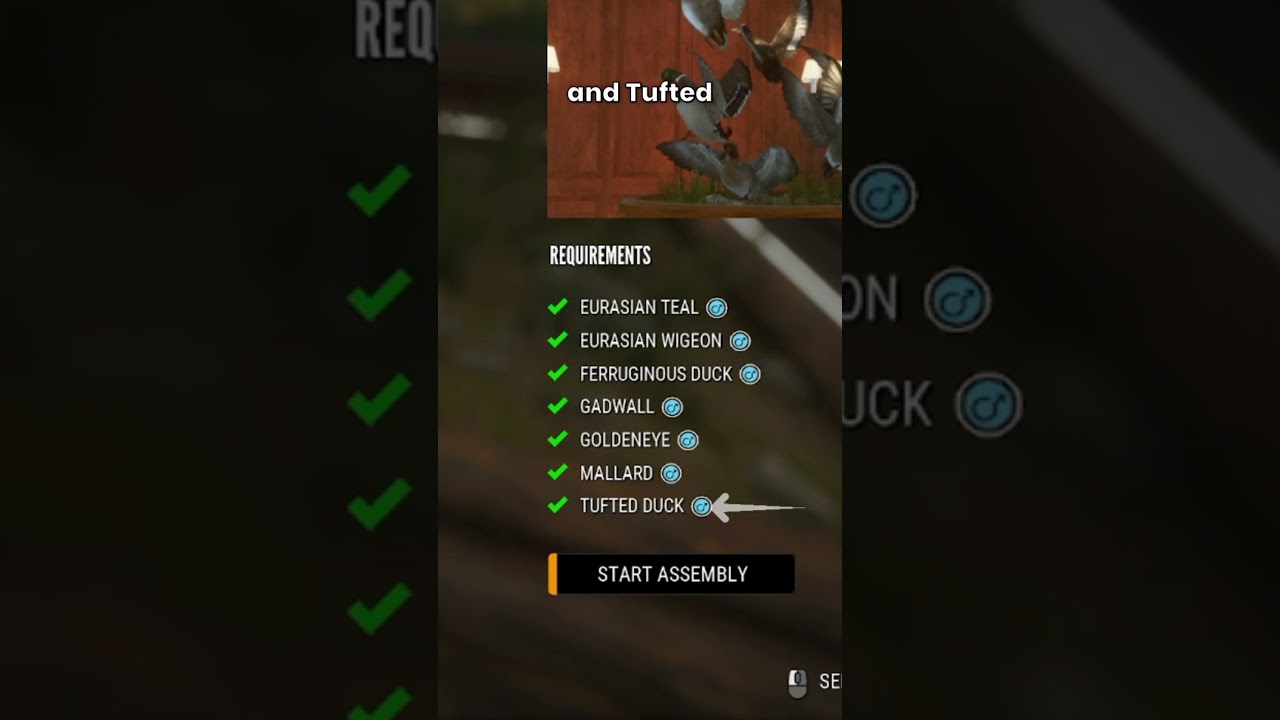 NEW UPDATE Brings MULTIMOUNT For 7 SPECIES!!! - COTW in Early Access #shorts