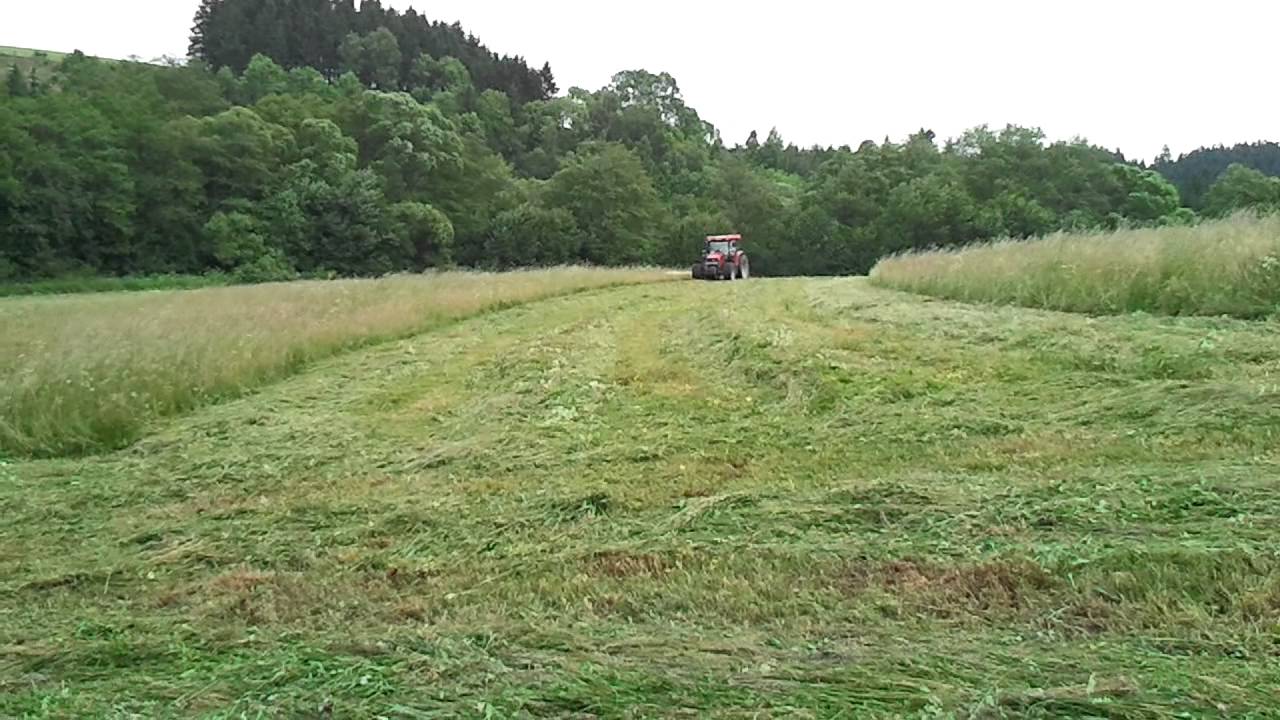 Case IH CS 105 Pro vs. Krone EASYCUT