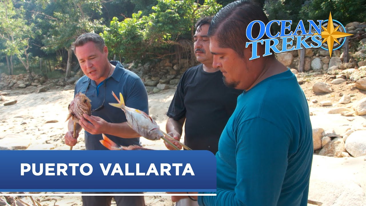 Ocean Treks™ with Jeff Corwin – Puerto Vallarta | OceanView Series | Princess Cruises
