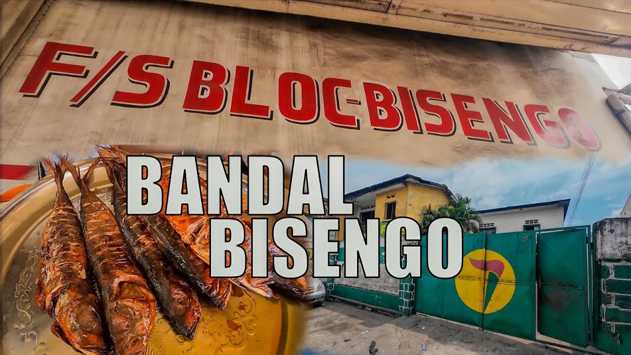 DÉCOUVERTE BANDAL ADULA & BISENGO: ETAT DEPLORABLE DU BLOC ACTUEL LA RÉSIDENCE DE MOBUTU DES ÉCOLES…