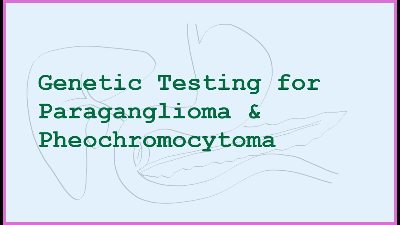 Pheochromocytoma and Paraganglioma: Genetic Testing for Patients and Families