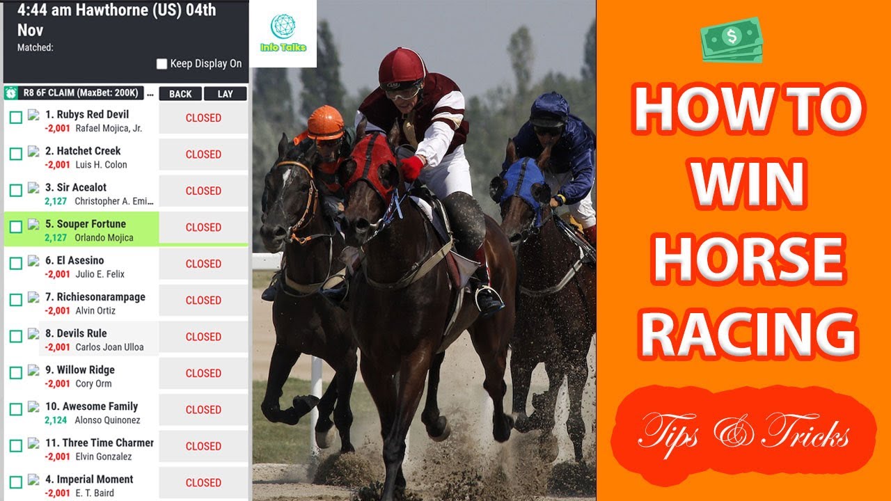 HOW TO WIN HORSE RACING DAILY | TIPS & TRICKS | DAILY CASH PROFIT #horseracinglive