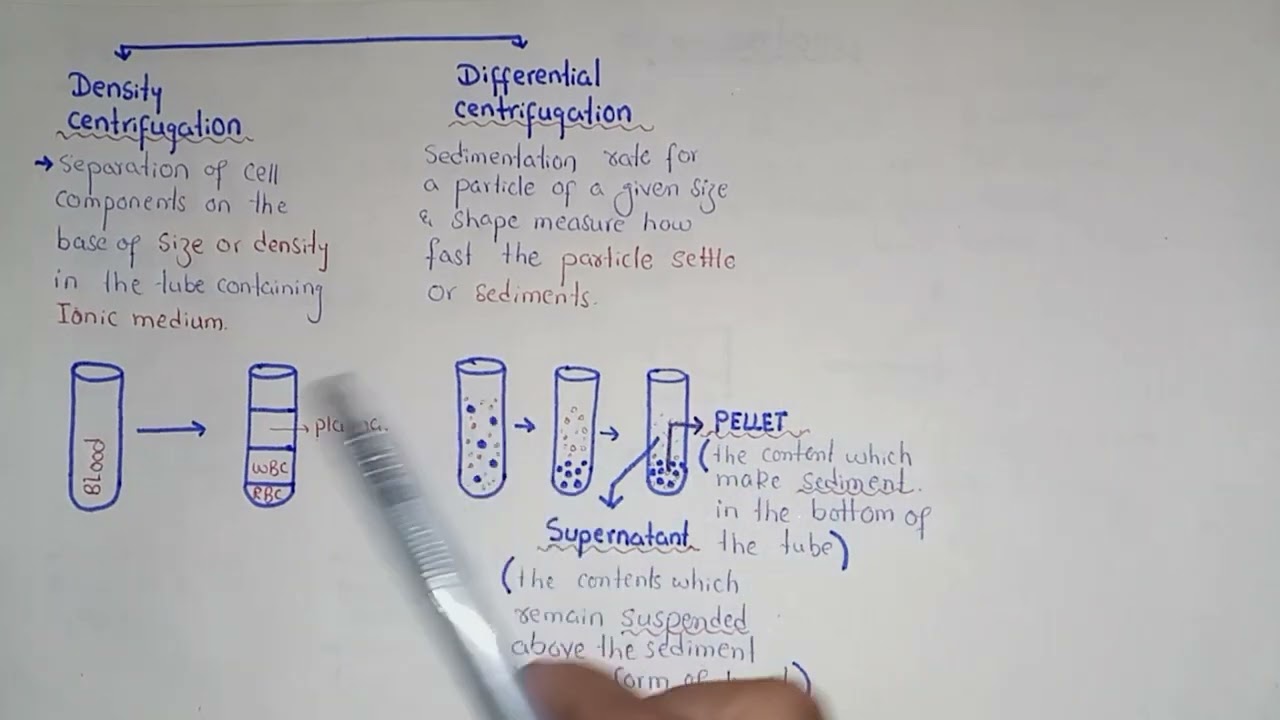 Cell Fractionation | Federal And KPK board | Class 11 Biology