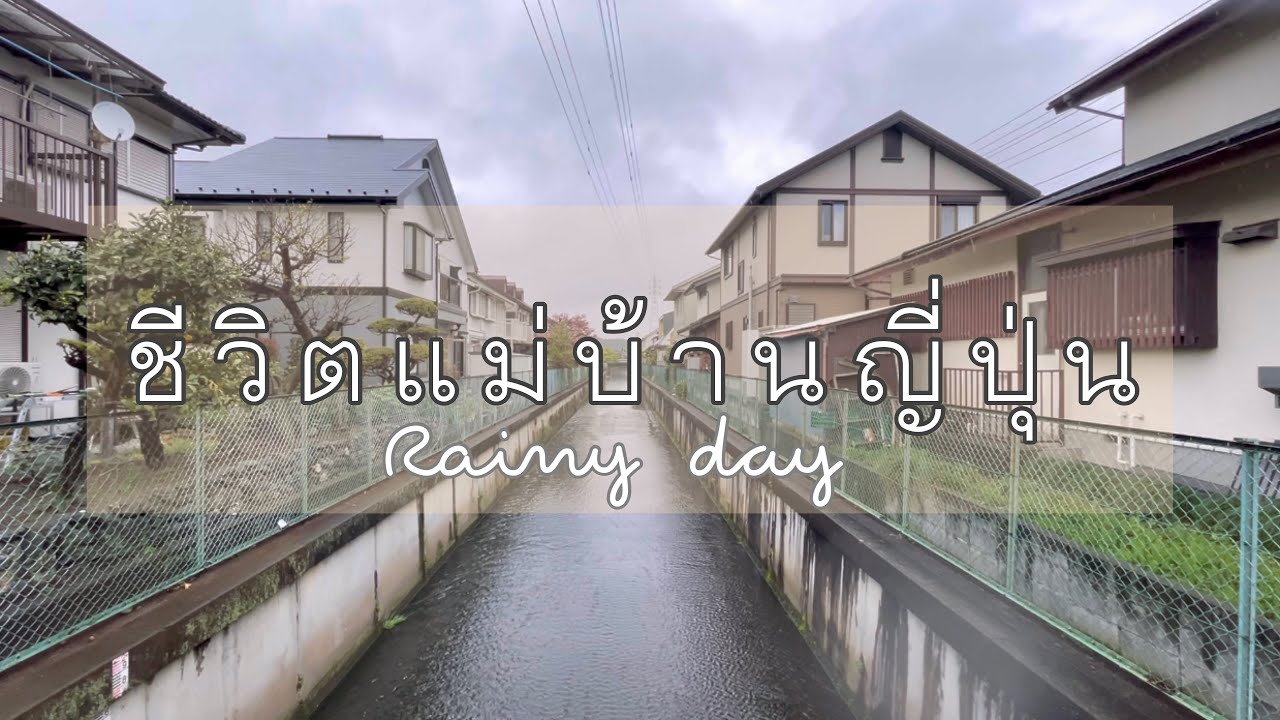 #271 ชีวิตแม่บ้านญี่ปุ่น 🇯🇵 วันฝนตก | เดินจ่ายตลาด | เก็บผักสวนครัว | กุหลาบออกดอกแล้ว ^^