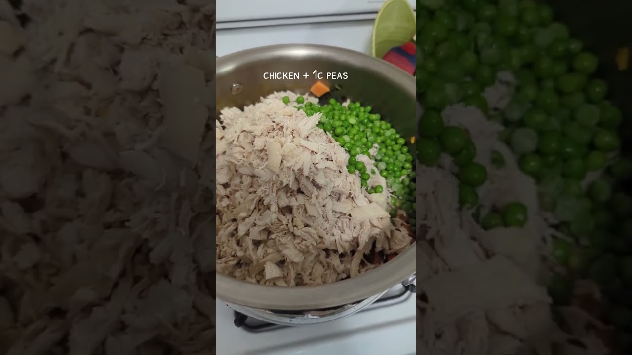 Homemade dog food ( that&rsquo;s vet approved)