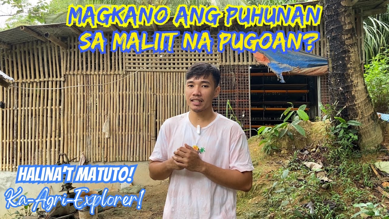 MAGKANO ANG PUHUNAN SA MALIIT NA PUGOAN? | RON'S FARM OFFICIAL