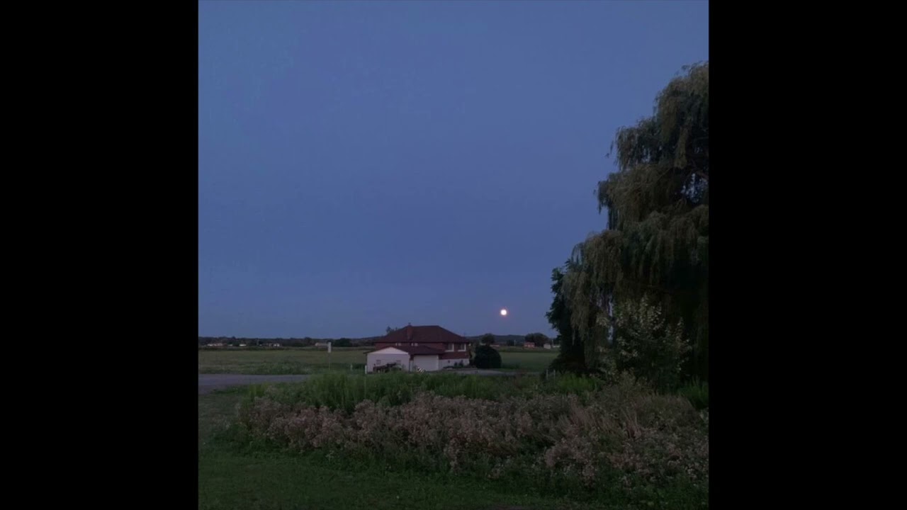 (free) sad indie + acoustic type beat - let me explain