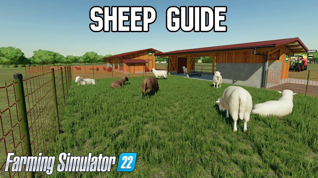 Sheep Guide Farming Simulator 22