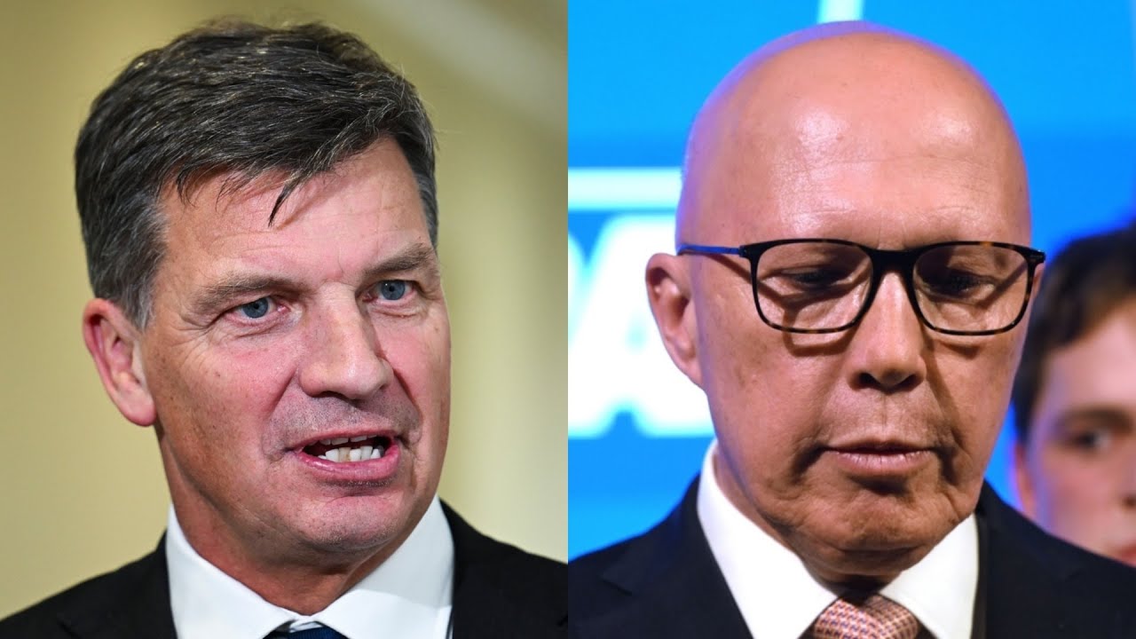 ‘Exercise in the bleeding obvious’: Liberal’s campaign review shows ‘plenty of hard work ahead’