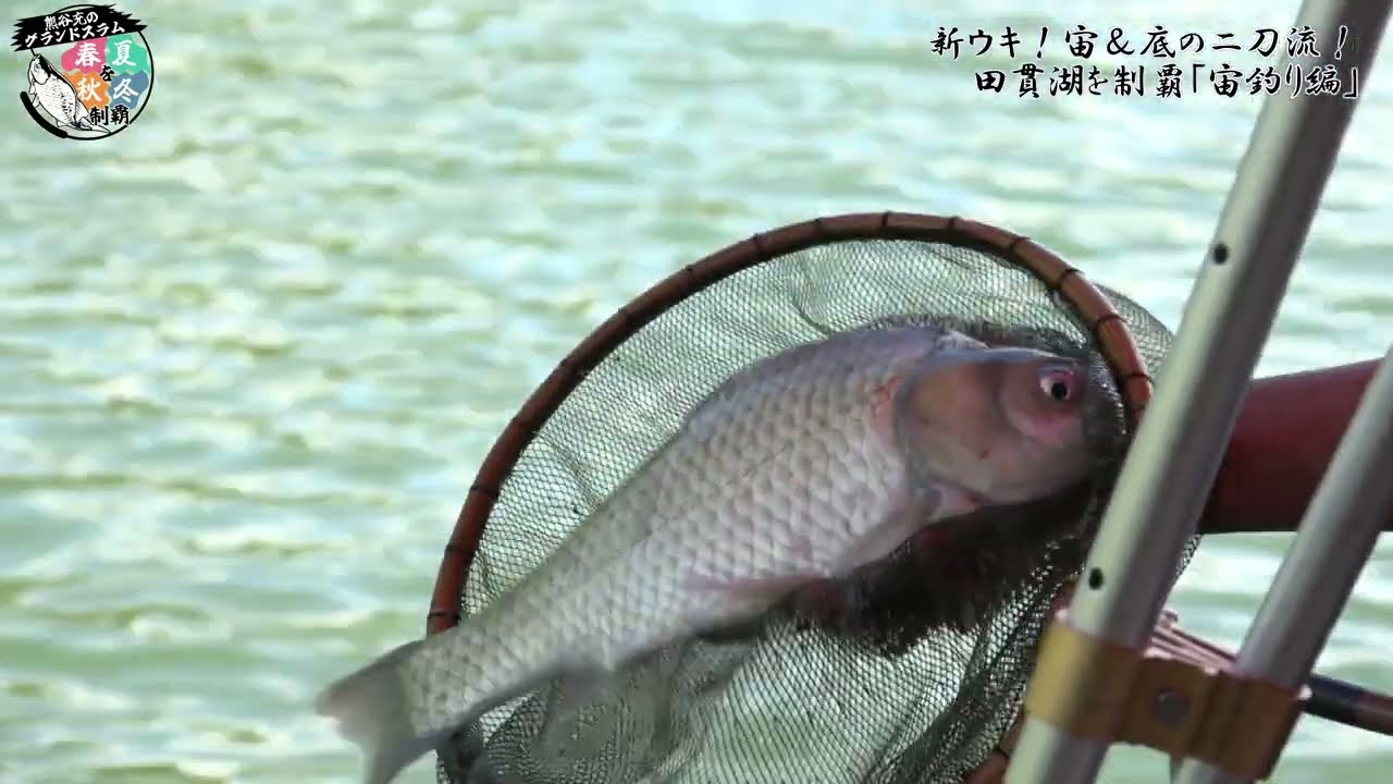 季節の変わり目、ダンゴか？セットか？