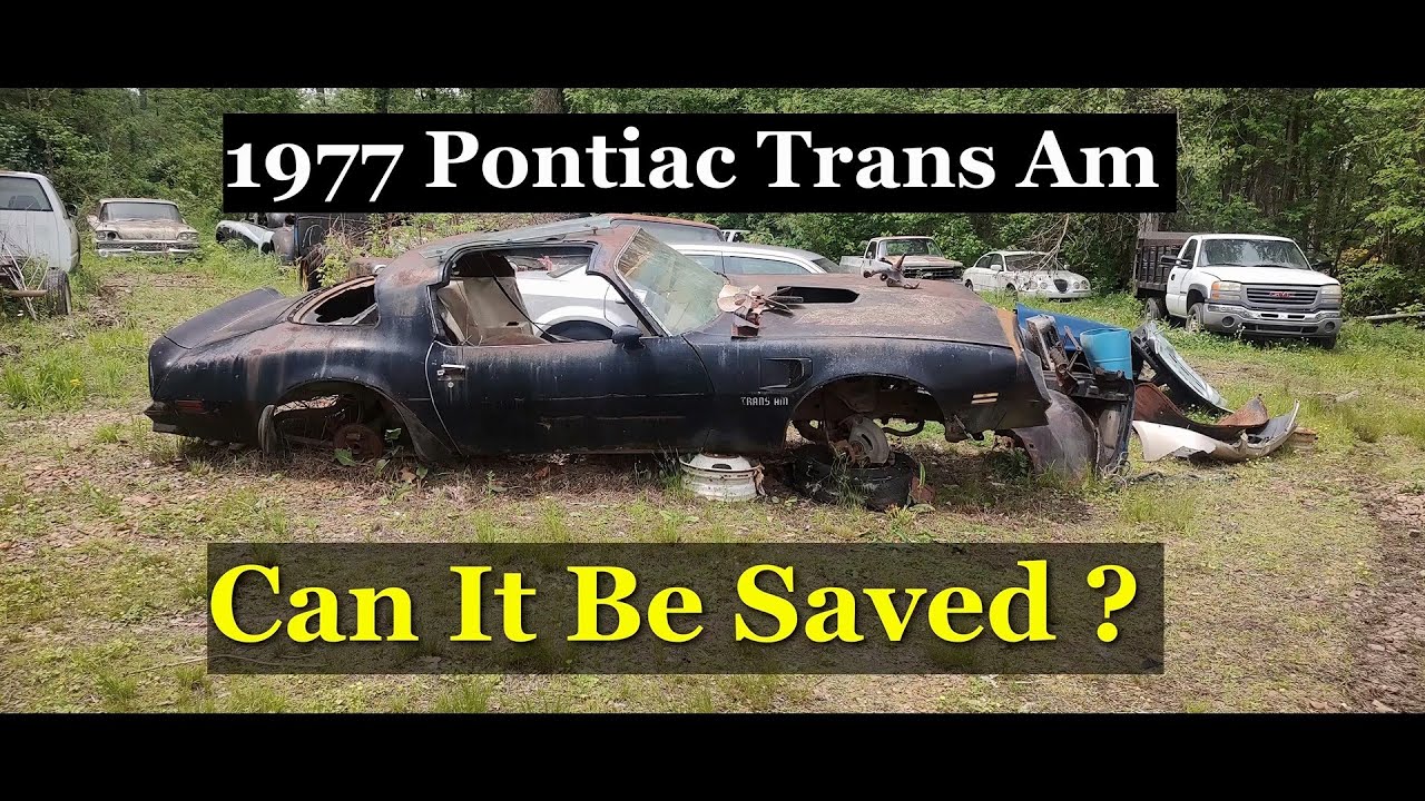 1977 Pontiac Trans Am abandoned and saved from the crusher. #pontiactransam