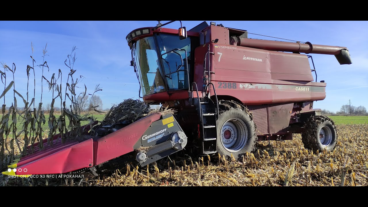 Уборка кукурузи ДН Галатея Врожайність за 100ц Кейс 2388 Рост Агро