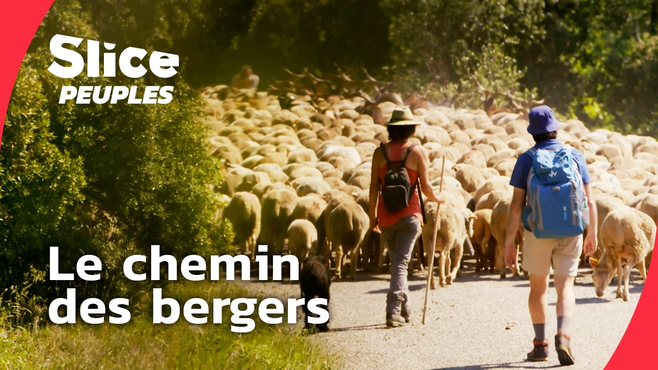 La Routo, 400 km sur le dernier chemin des bergers I DOC ENTIER | SLICE PEUPLES