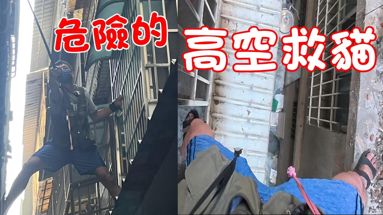 危險的高空救貓！