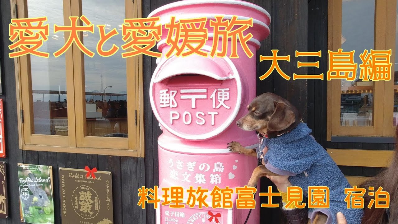 愛犬と愛媛旅～大三島編～料理旅館富士見園に宿泊