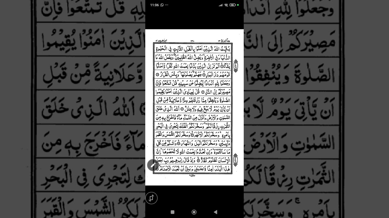 31 January 2026