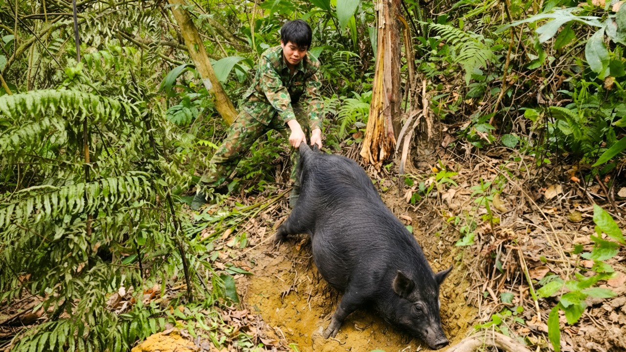 Tracking wild boars, digging holes to set traps - Cooking in the forest, a primitive way of life