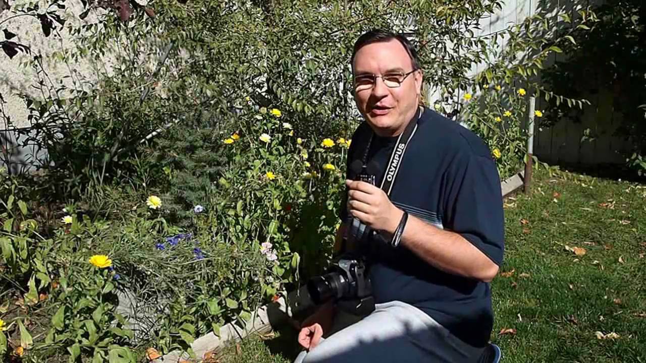 Macro Photography, Part 2 - Photography with Imre - Episode 30
