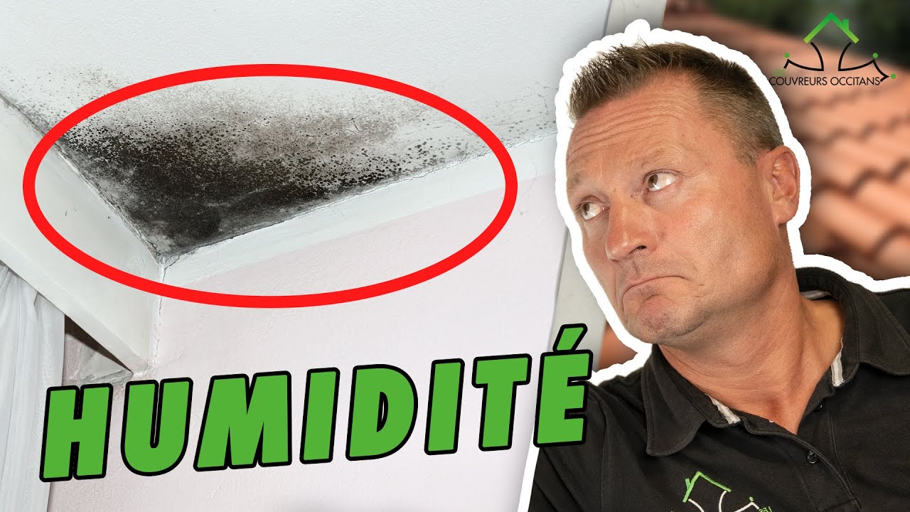 PROBLÈME D'HUMIDITÉ ? C'EST PEUT-ÊTRE DE LA CONDENSATION SOUS TOITURE !